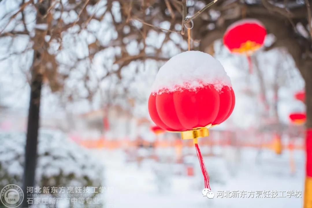 | | 如果，能在這里和你同游看場(chǎng)雪